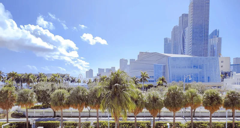 Gratte-ciel du centre de Miami derrière une rangée de palmiers